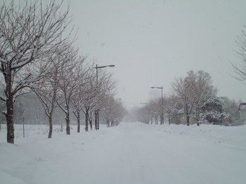 歩道と車道の境目は？