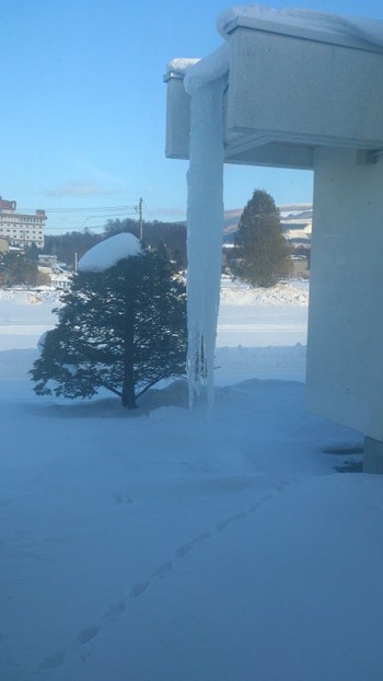 北海道といえば～ツララ