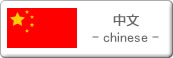 中文-chinese-