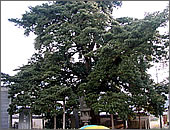 Inumaki and Huran of Renseiji